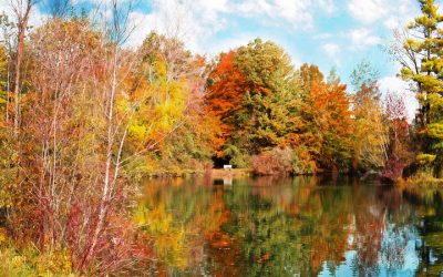 Seasons Change…Give Thanks