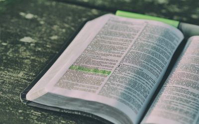 Reading the Bible in a Year Update