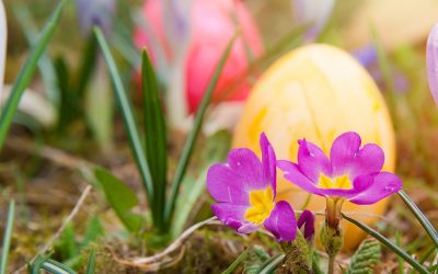 Easter 2018
