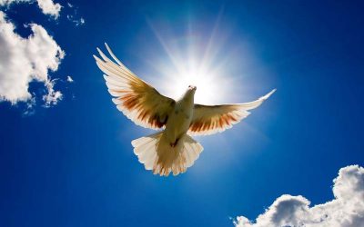 Carry Christ’s Peace