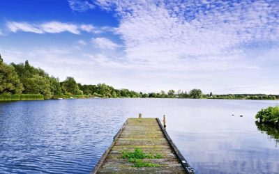 A Litany for the Summer