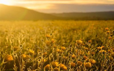 Some Thoughts From the Space Between Seasons