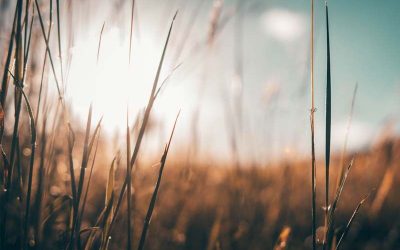 Living Among God’s Faithful People Part 3