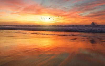 Living Among God’s Faithful People Part 4