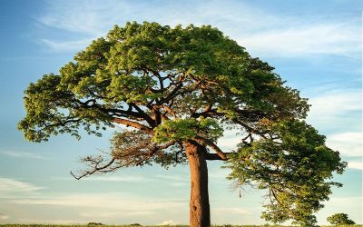 Living Among God’s Faithful People Part 5