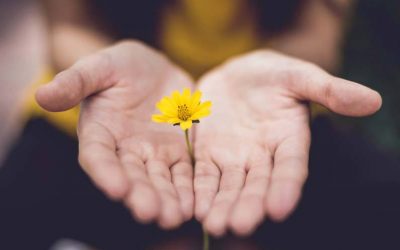 Hope as a Light in the Face of Darkness