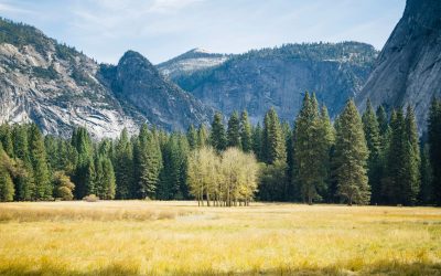 Good News for Anxious Christians