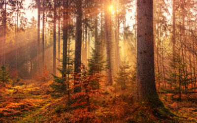A Time Of Transition
