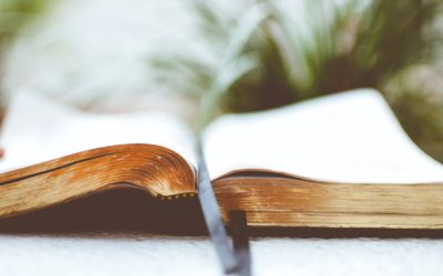 Things They Didn’t Teach You In Seminary