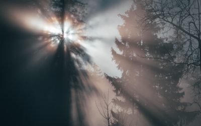 Jesus was Transfigured