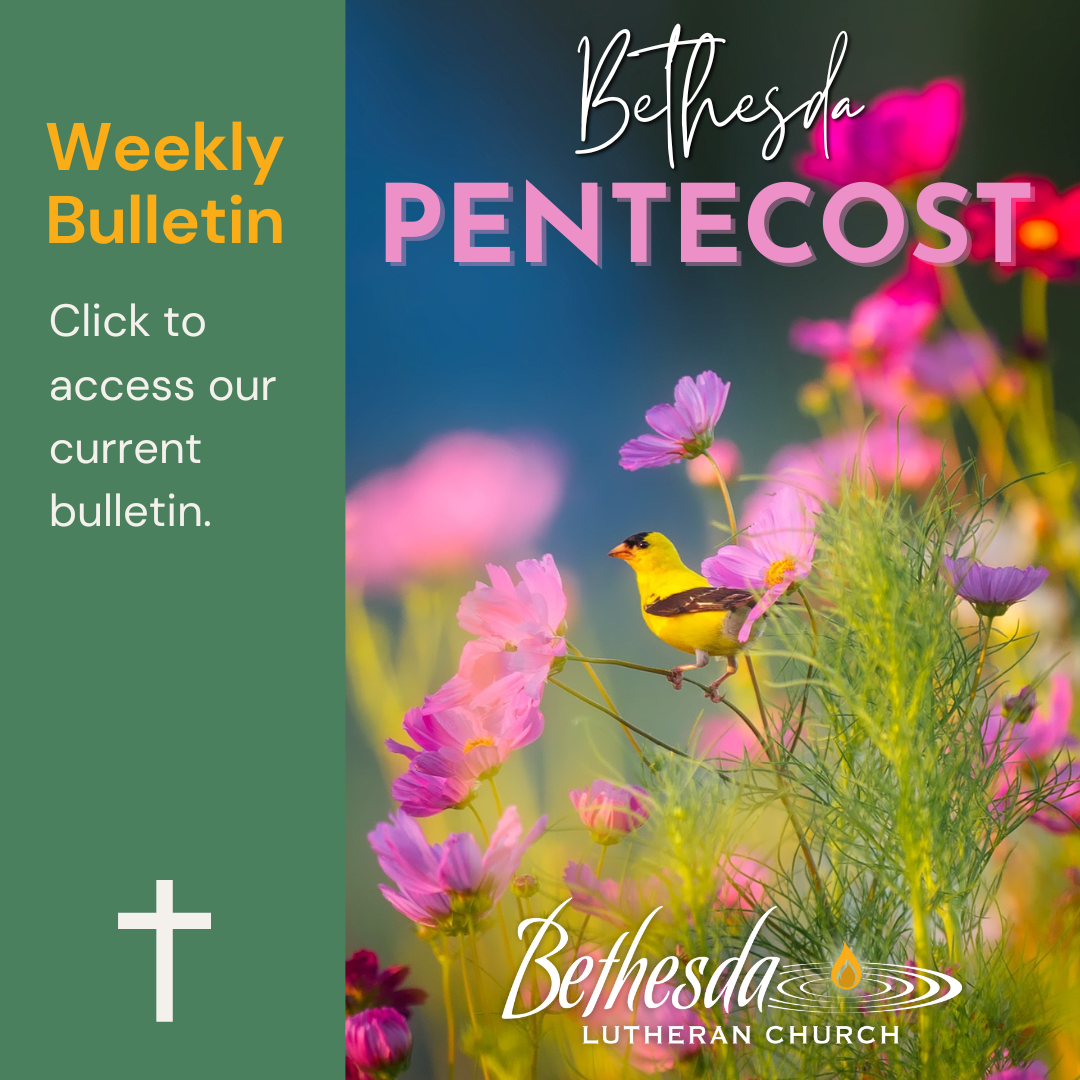 Weekly Bulletin