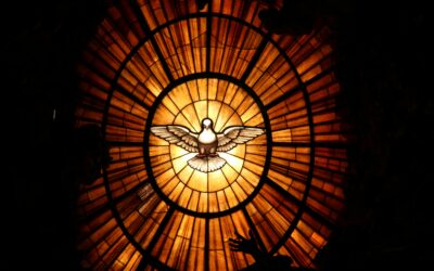 Ordinary Time, Extraordinary Gift